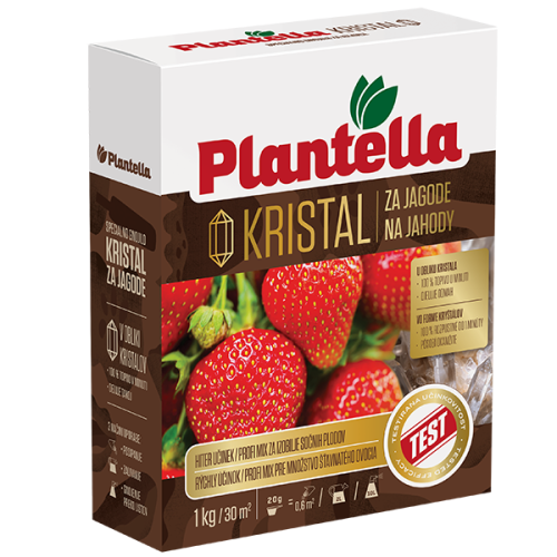 PL-Kristal-za-jagode-500x500