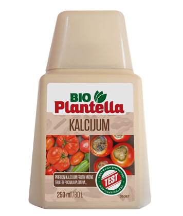 mockup_KALCIJ